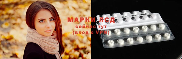 прущий лед Алзамай