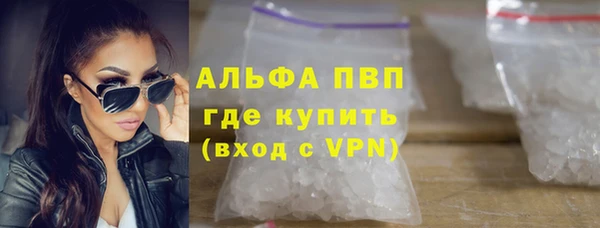 гашик Пересвет