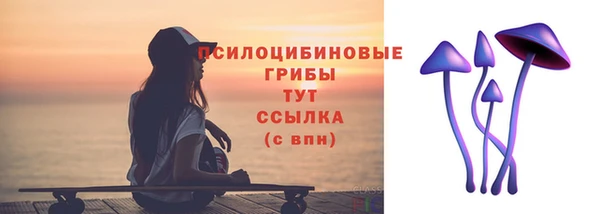прущие крисы Алексин