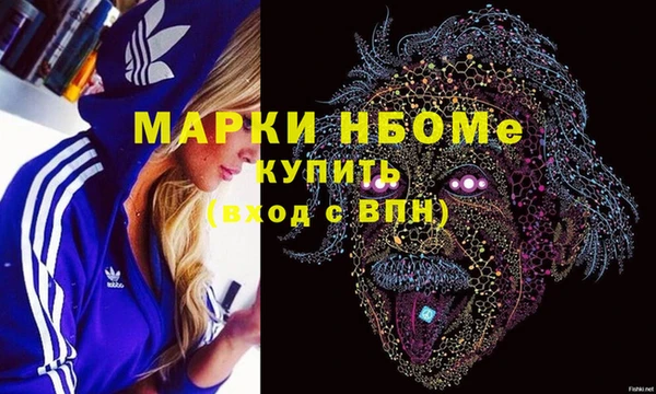 прущий лед Алзамай
