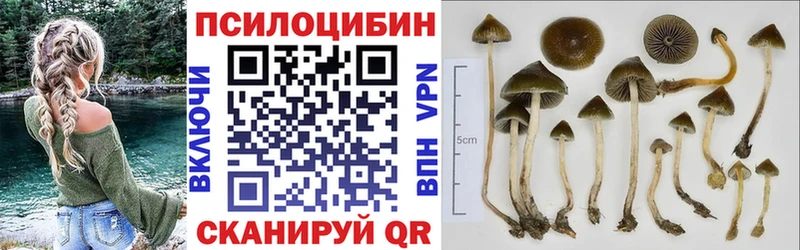 сколько стоит  Навашино  мега зеркало  Галлюциногенные грибы мухоморы 