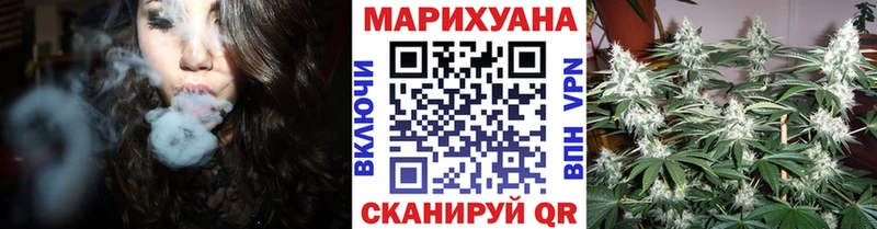 где купить наркоту  Навашино  Марихуана сатива 